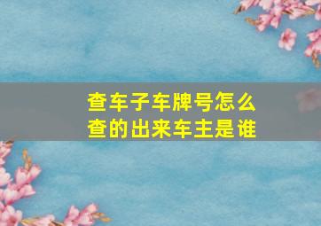 查车子车牌号怎么查的出来车主是谁