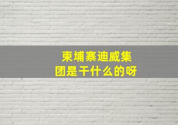 柬埔寨迪威集团是干什么的呀