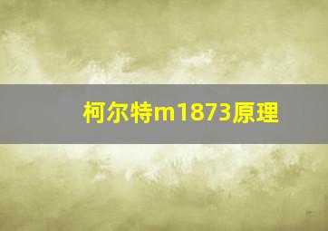 柯尔特m1873原理