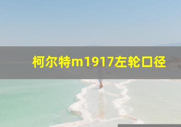 柯尔特m1917左轮口径