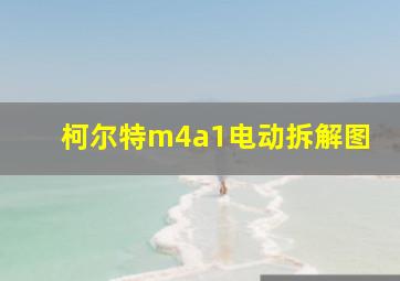 柯尔特m4a1电动拆解图