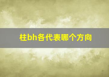 柱bh各代表哪个方向