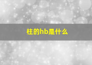 柱的hb是什么