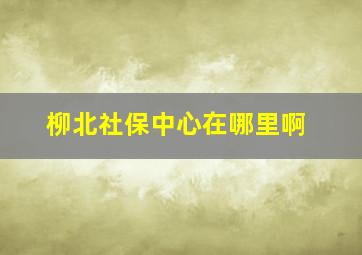 柳北社保中心在哪里啊