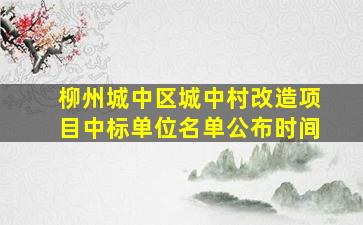 柳州城中区城中村改造项目中标单位名单公布时间