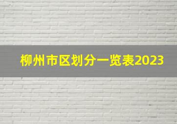 柳州市区划分一览表2023