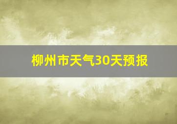 柳州市天气30天预报