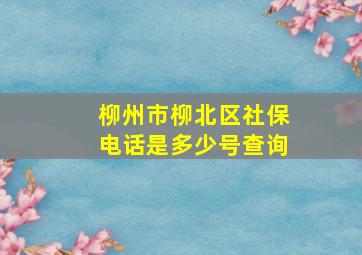 柳州市柳北区社保电话是多少号查询