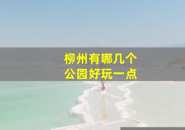 柳州有哪几个公园好玩一点