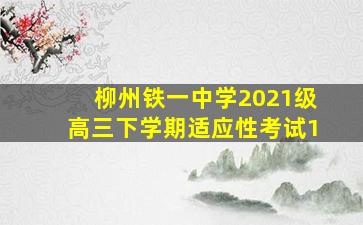 柳州铁一中学2021级高三下学期适应性考试1