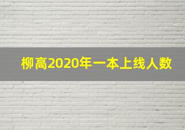 柳高2020年一本上线人数