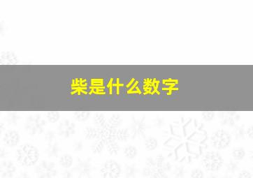 柴是什么数字