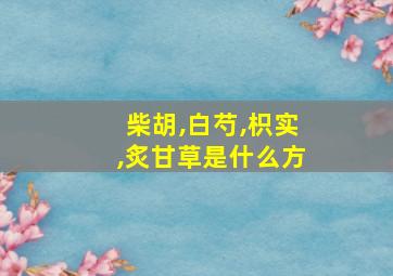 柴胡,白芍,枳实,炙甘草是什么方