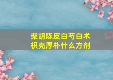 柴胡陈皮白芍白术枳壳厚朴什么方剂