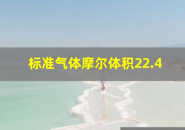 标准气体摩尔体积22.4