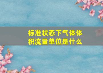 标准状态下气体体积流量单位是什么