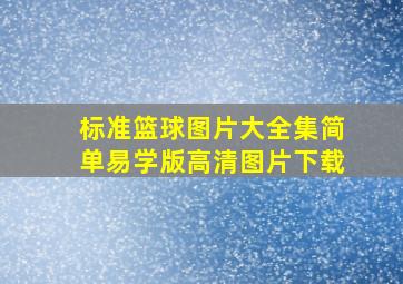 标准篮球图片大全集简单易学版高清图片下载