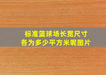 标准篮球场长宽尺寸各为多少平方米呢图片