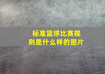 标准篮球比赛规则是什么样的图片