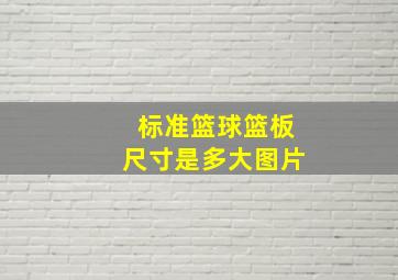 标准篮球篮板尺寸是多大图片