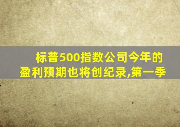 标普500指数公司今年的盈利预期也将创纪录,第一季