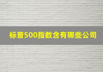 标普500指数含有哪些公司