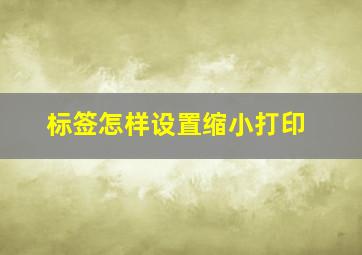 标签怎样设置缩小打印