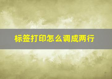 标签打印怎么调成两行