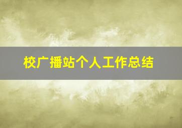 校广播站个人工作总结