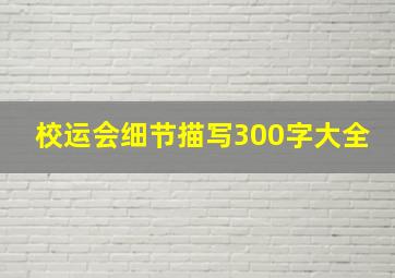 校运会细节描写300字大全