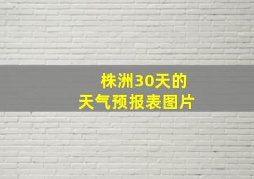 株洲30天的天气预报表图片