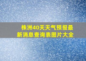 株洲40天天气预报最新消息查询表图片大全