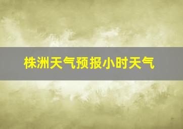 株洲天气预报小时天气