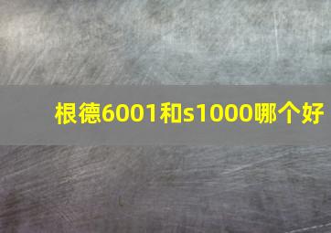 根德6001和s1000哪个好