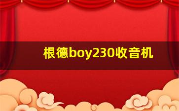 根德boy230收音机