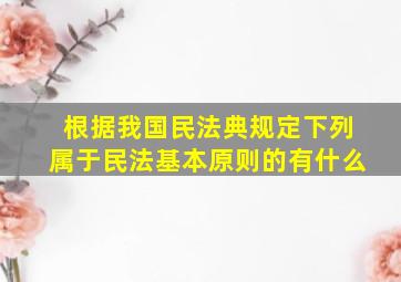 根据我国民法典规定下列属于民法基本原则的有什么