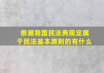 根据我国民法典规定属于民法基本原则的有什么