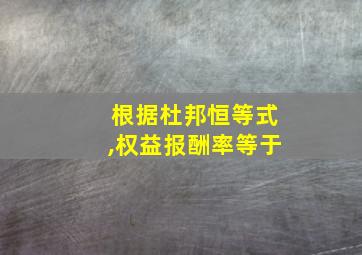 根据杜邦恒等式,权益报酬率等于