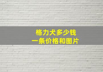 格力犬多少钱一条价格和图片