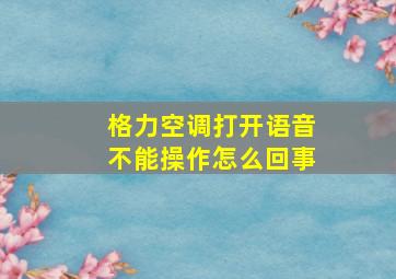 格力空调打开语音不能操作怎么回事