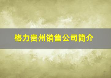 格力贵州销售公司简介