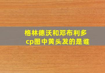 格林德沃和邓布利多cp图中黄头发的是谁