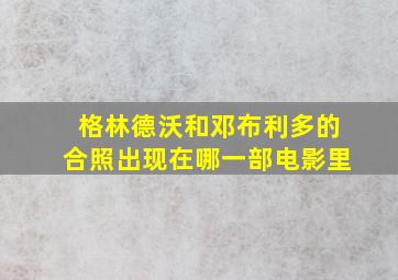 格林德沃和邓布利多的合照出现在哪一部电影里