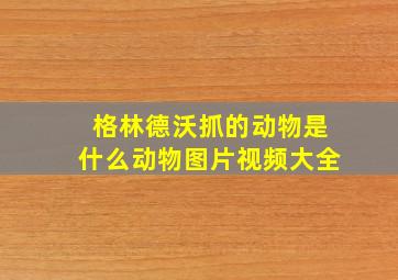 格林德沃抓的动物是什么动物图片视频大全