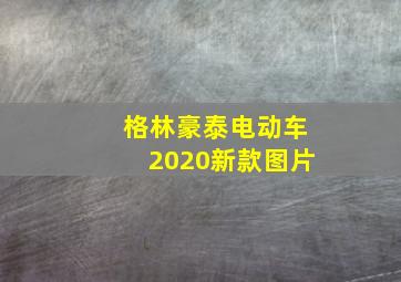 格林豪泰电动车2020新款图片