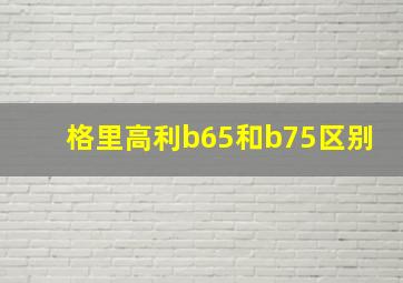 格里高利b65和b75区别