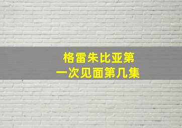 格雷朱比亚第一次见面第几集