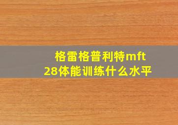 格雷格普利特mft28体能训练什么水平