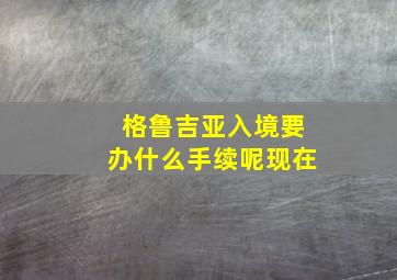 格鲁吉亚入境要办什么手续呢现在