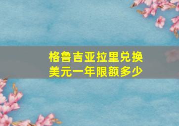 格鲁吉亚拉里兑换美元一年限额多少